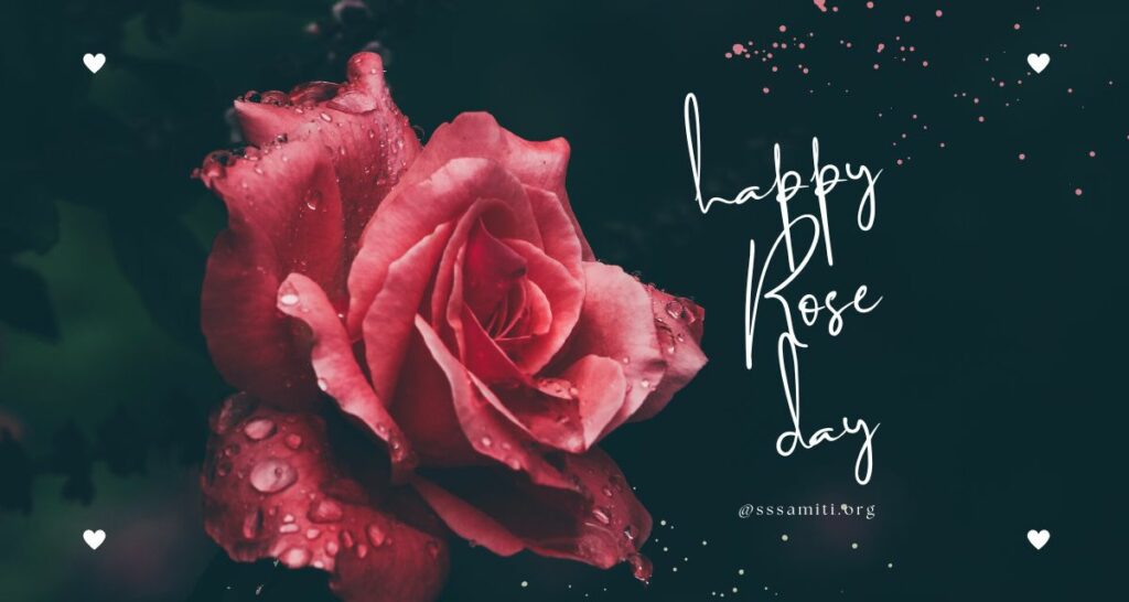 Happy Rose Day 2023 - Wishes, Cards, Quotes, Images, Whatsapp & Instagram Status 2