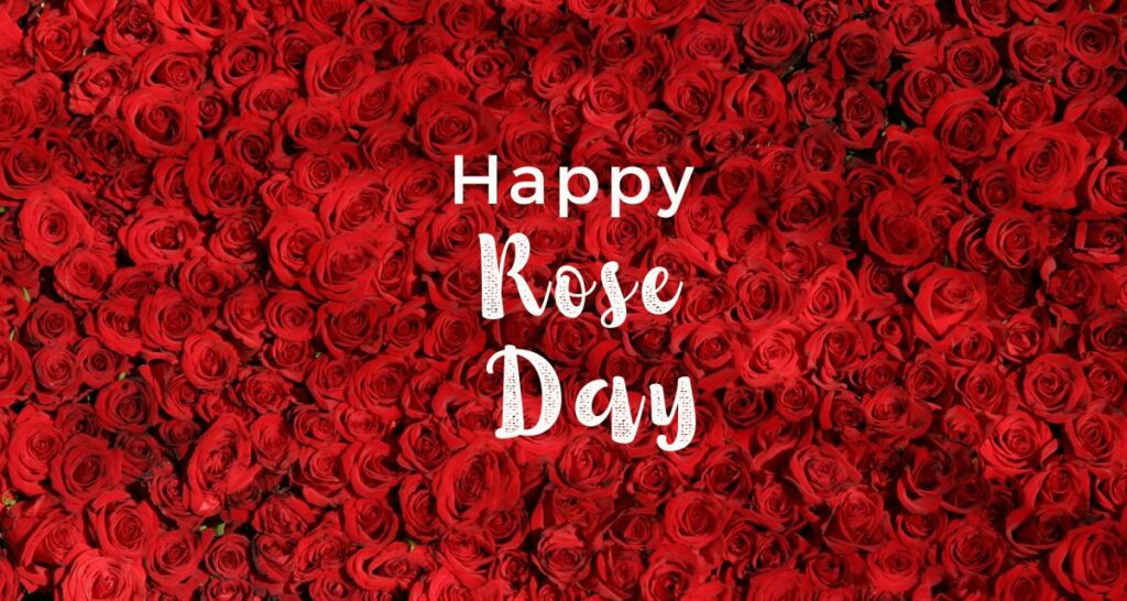 Happy Rose Day 2023 - Wishes, Cards, Quotes, Images, Whatsapp & Instagram Status 3
