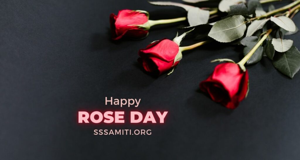 Happy Rose Day 2023 - Wishes, Cards, Quotes, Images, Whatsapp & Instagram Status 5
