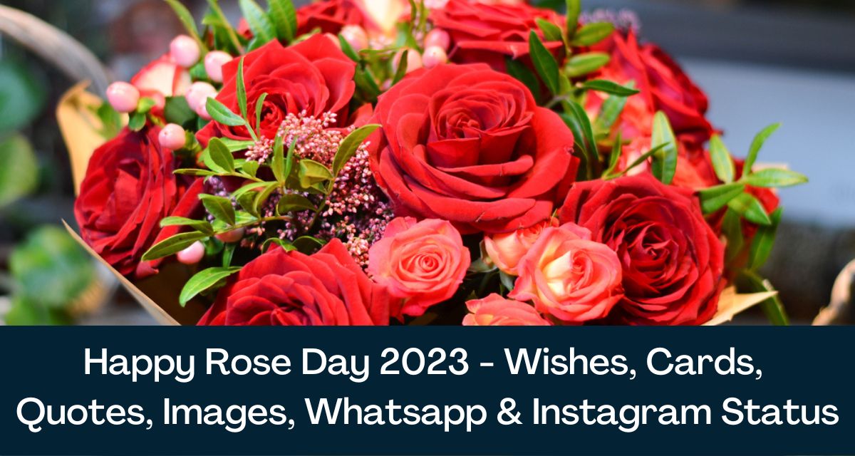 Happy Rose Day 2023 - Wishes, Cards, Quotes, Images, Whatsapp & Instagram  Status