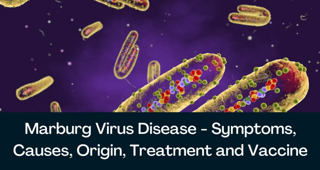 Marburg Virus Disease - Symptoms, Causes, Origin, Treatment and Vaccine